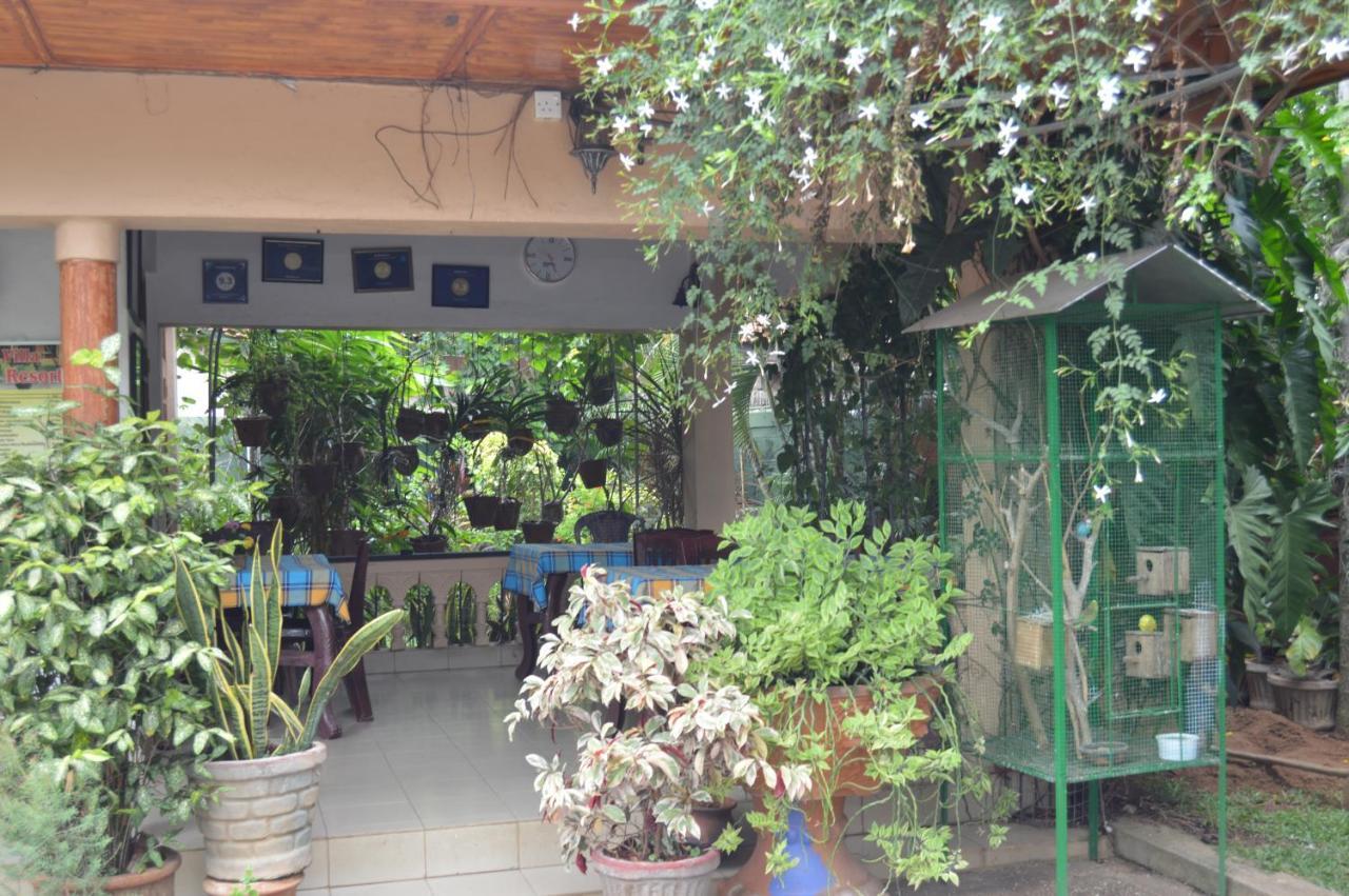 Familyhouse Apartment Negombo Exterior photo