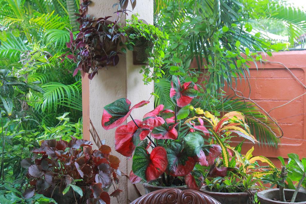 Familyhouse Apartment Negombo Room photo