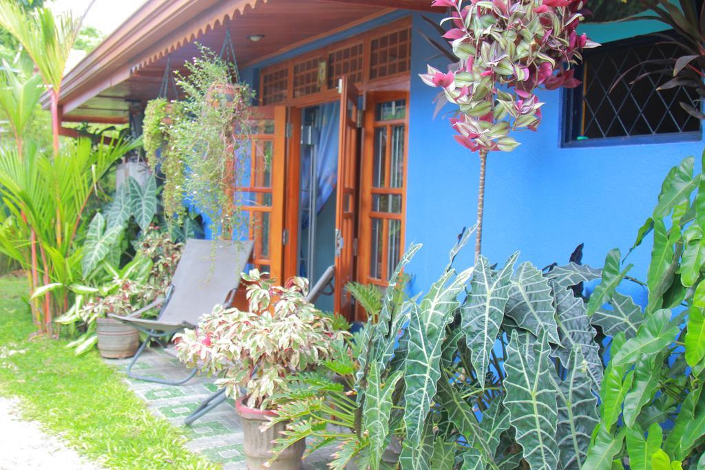 Familyhouse Apartment Negombo Room photo