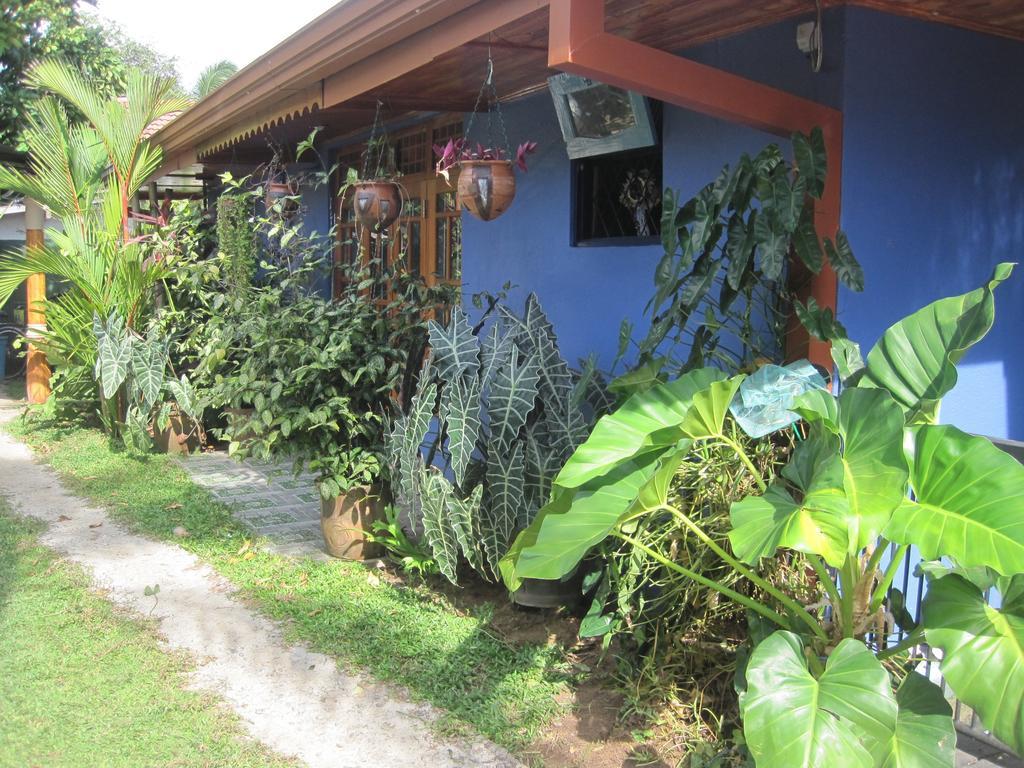 Familyhouse Apartment Negombo Room photo